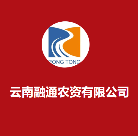 公司介绍