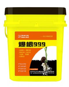 3655爆根999&nbsp;10kg